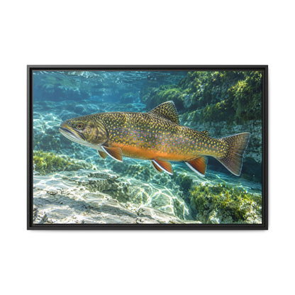 Sapphire Spring Brook Trout framed canvas wall art