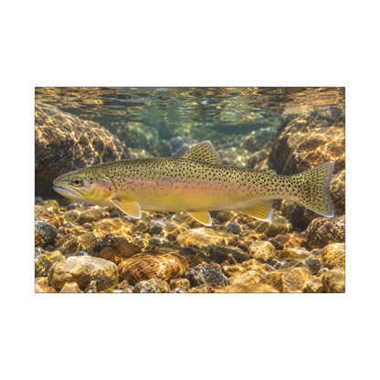 Amber Pebbles Gila Trout canvas wall art, view 2