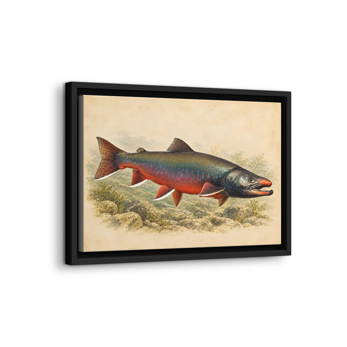 Field Study Dolly Varden framed canvas wall art, view 4