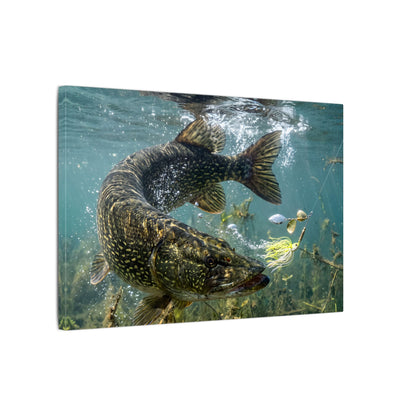 Northern Pike Turning Strike Canvas — Action Wall Art for Anglers