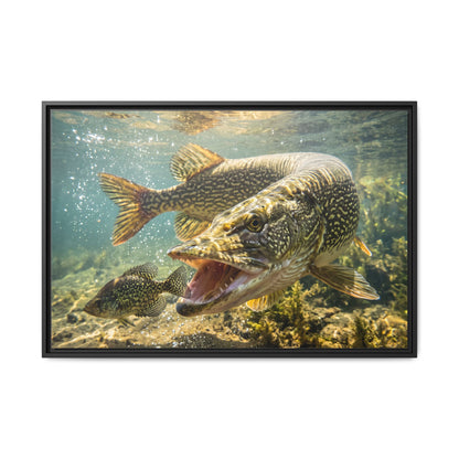 Northern Pike Crappie Chase Framed Canvas — Ready-to-Hang Wall Art for Anglers