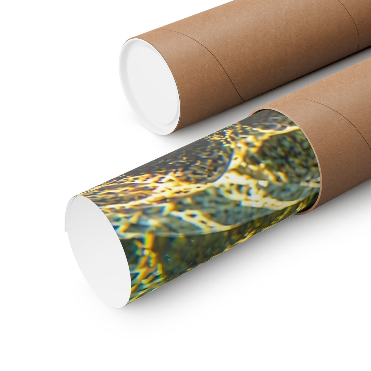 Sunlit Mountain Stream Golden Trout poster wall art, view 5