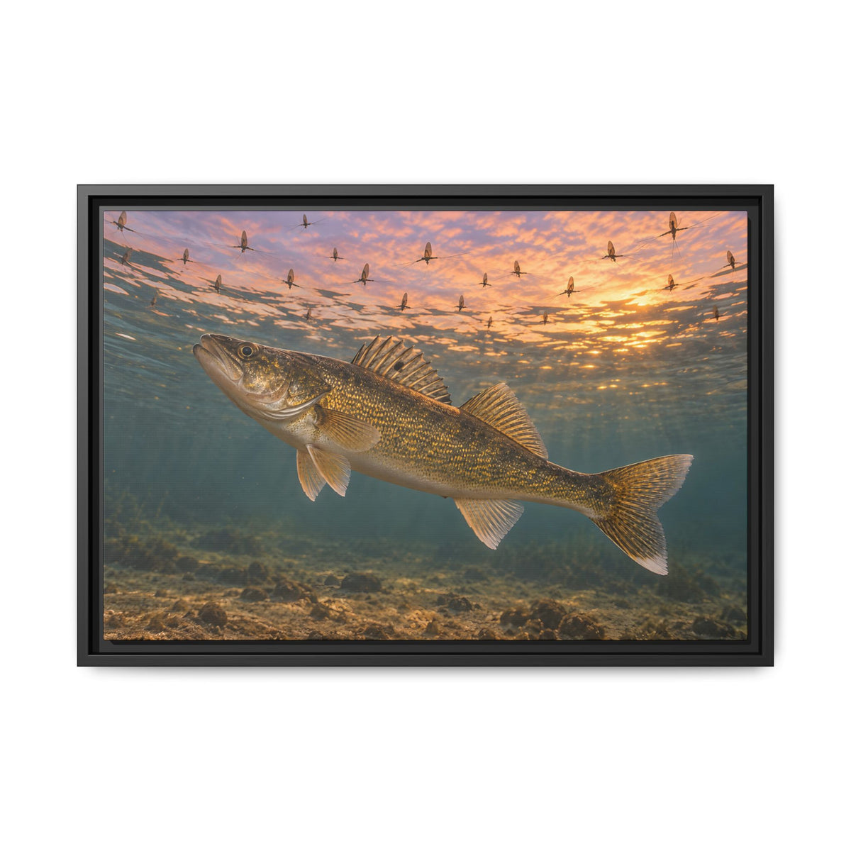 Mayfly Hatch Evening Walleye framed canvas, 36x24 size view