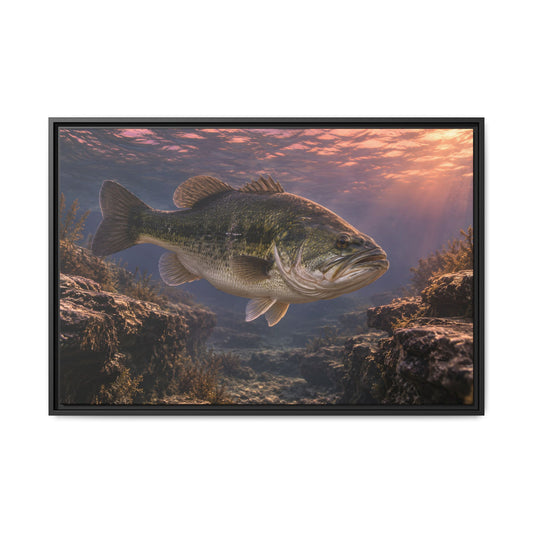 Rose-Gold Dusk Channel Largemouth Bass framed canvas, 18x12 size view