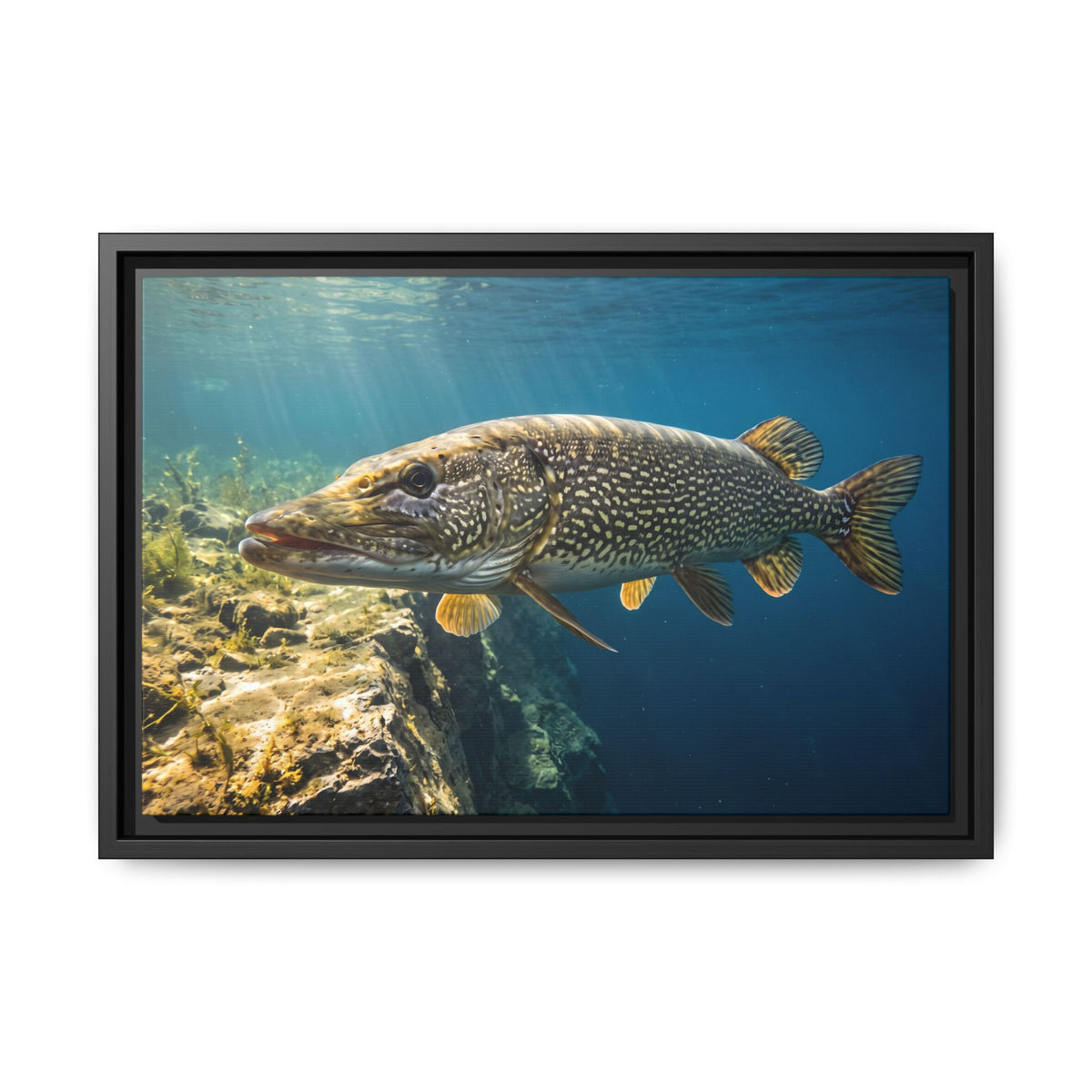 Northern Pike Deep Water Cruise Framed Canvas wall art, view 2