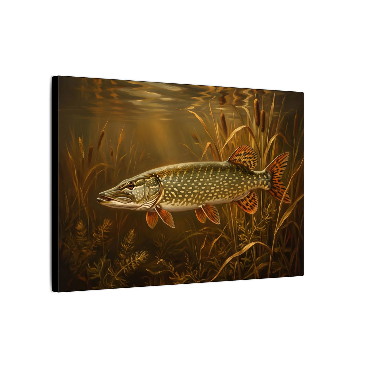 Old Masters Oil Northern Pike canvas, side angle