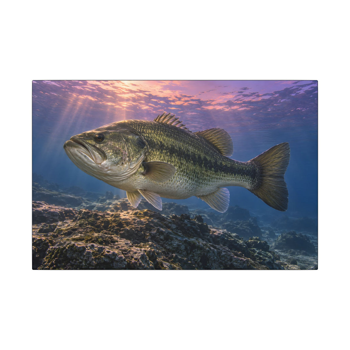 Lavender Twilight Ridge Largemouth Bass canvas, 18x12 size view