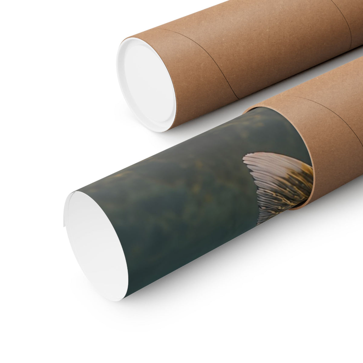 Mayfly Hatch Evening Walleye poster shipped rolled in a protective tube