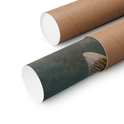 Mayfly Hatch Evening Walleye poster shipped rolled in a protective tube