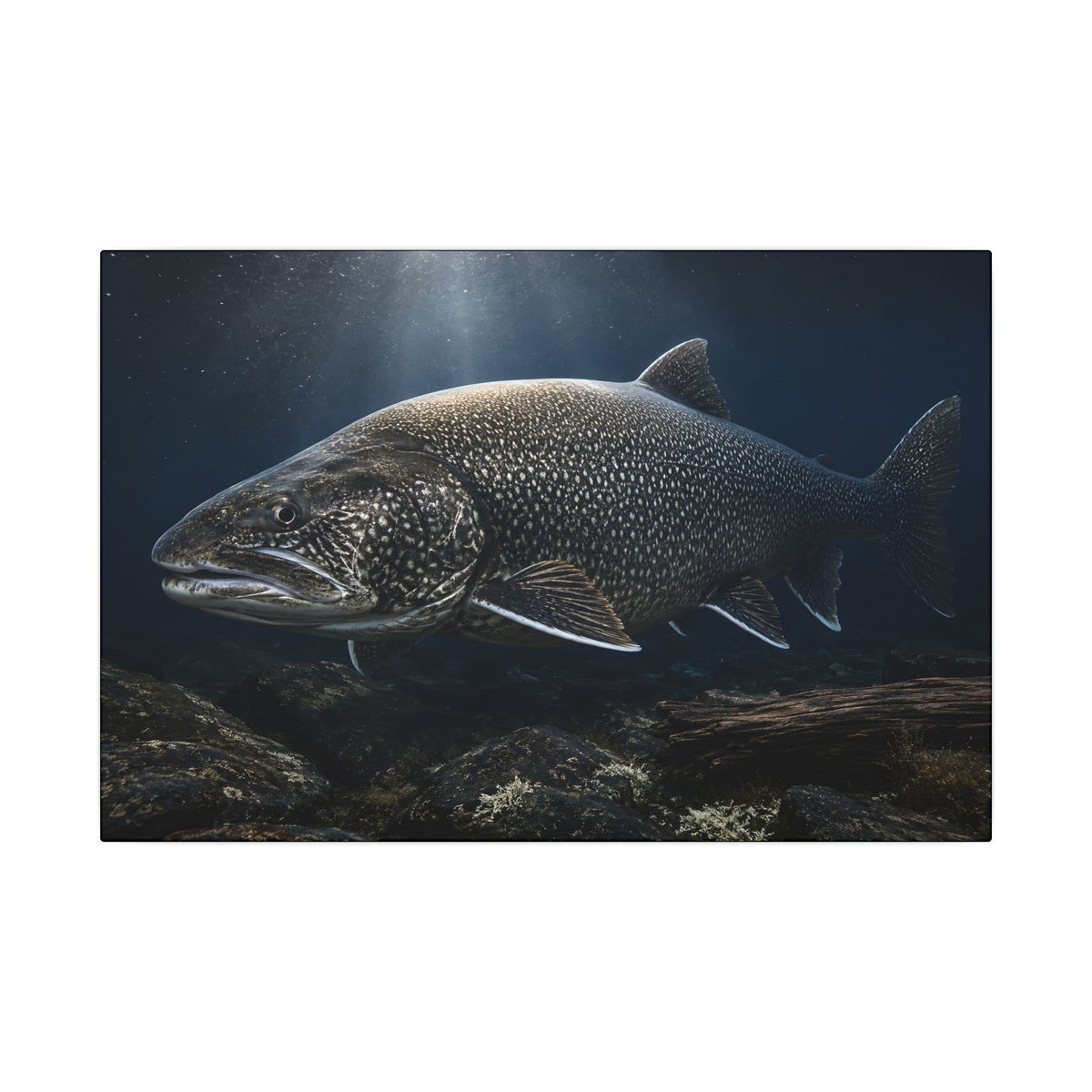 The Ancient One Lake Trout canvas wall art