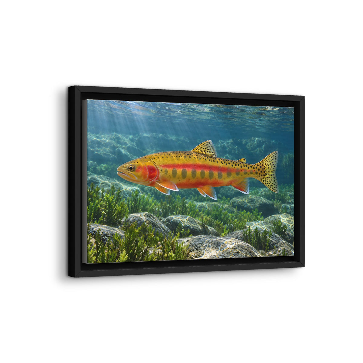 Gliding Through Sierra Waters Golden Trout framed canvas wall art, view 4
