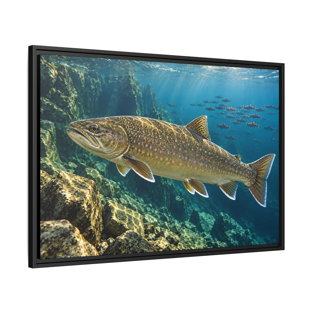 Pend Oreille Giant Bull Trout framed canvas, side angle