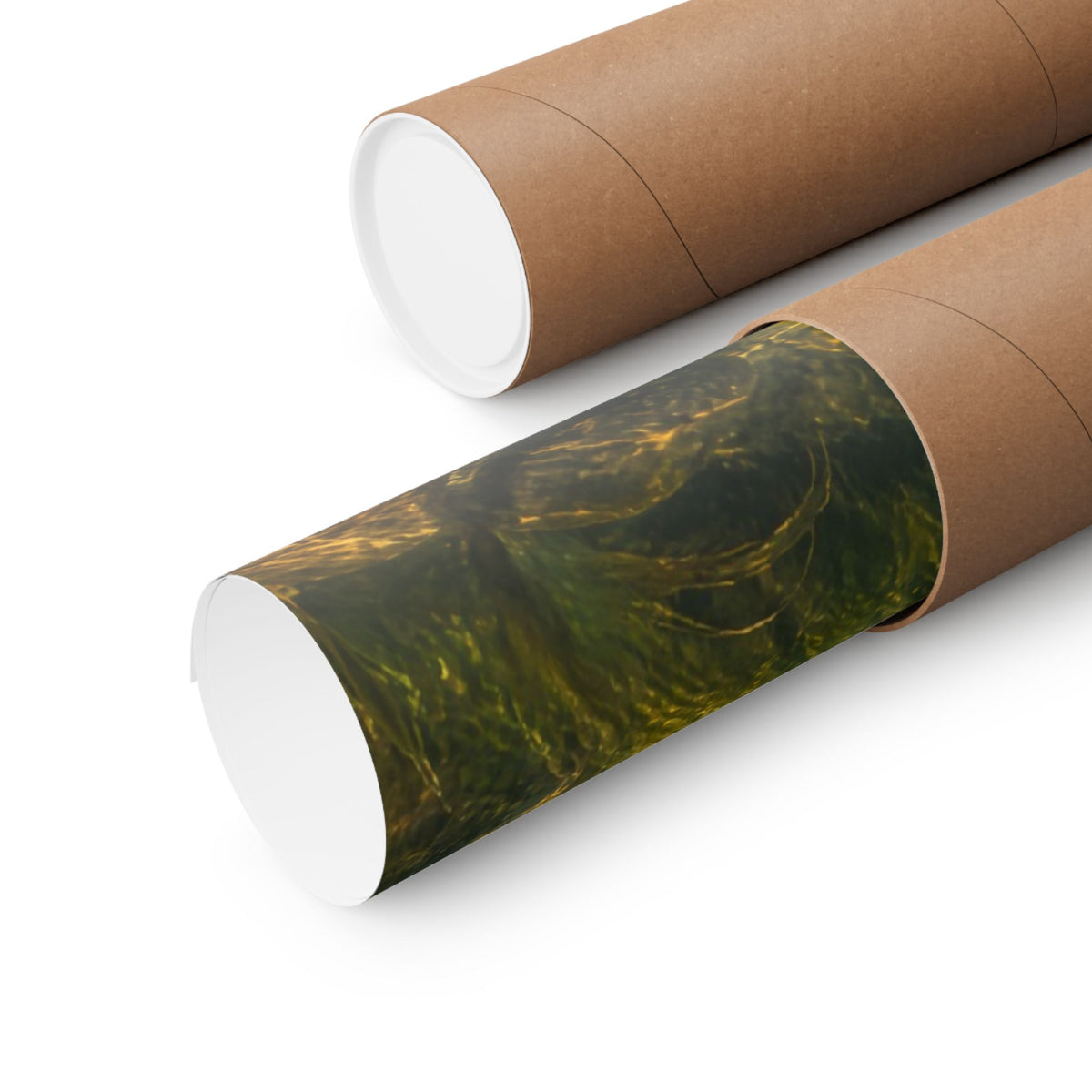 Meadow Over-Under Brown Trout poster shipped rolled in a protective tube