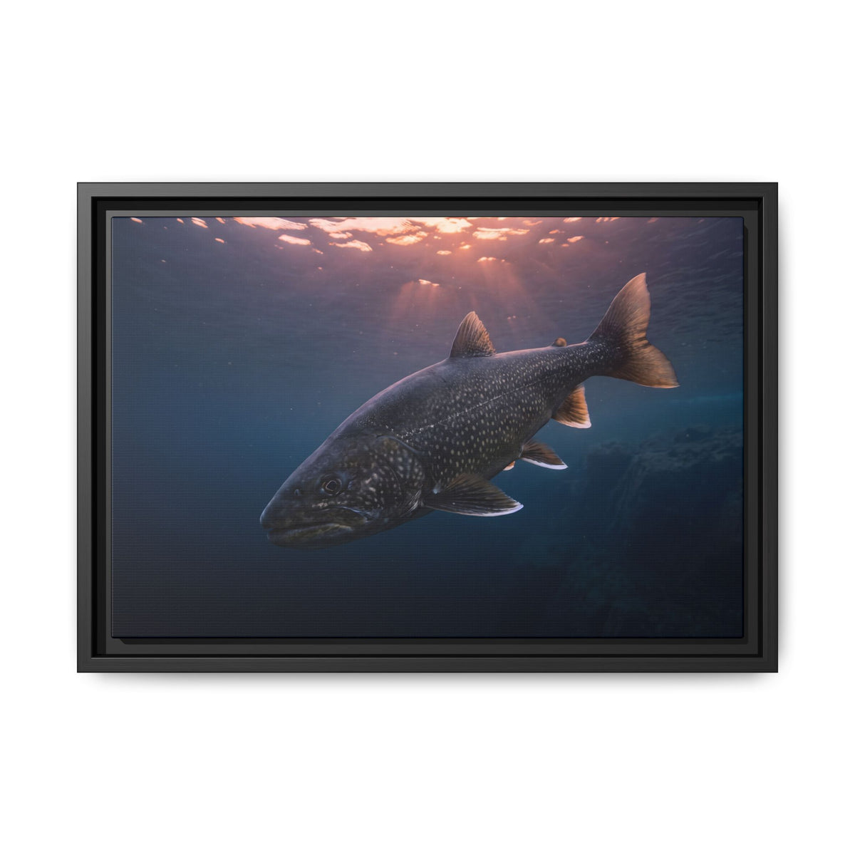 Twilight Rise Lake Trout framed canvas wall art, view 2