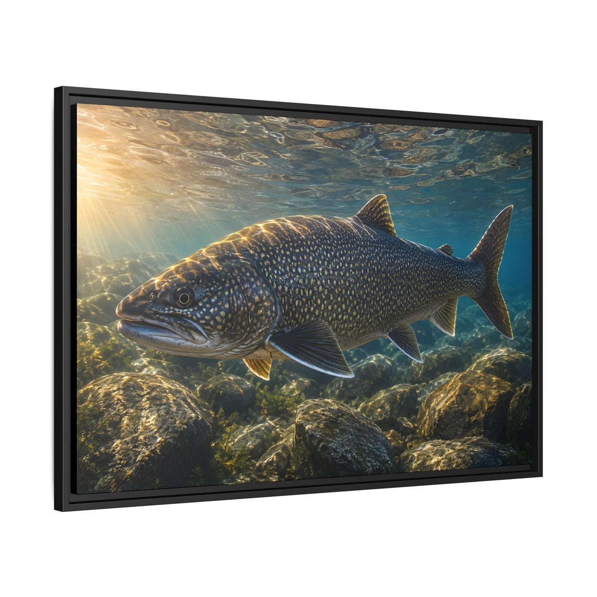 Shallow Reef at Sunrise Lake Trout framed canvas wall art, view 4