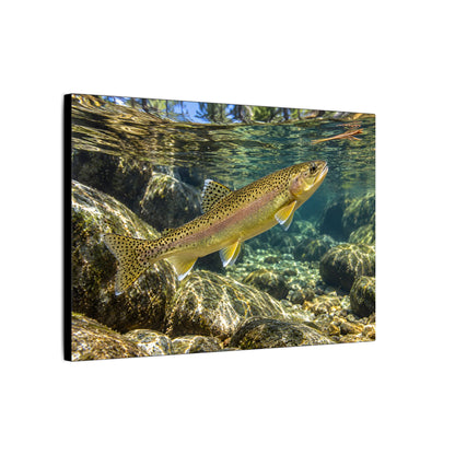Ponderosa Pool Gila Trout canvas wall art, view 4