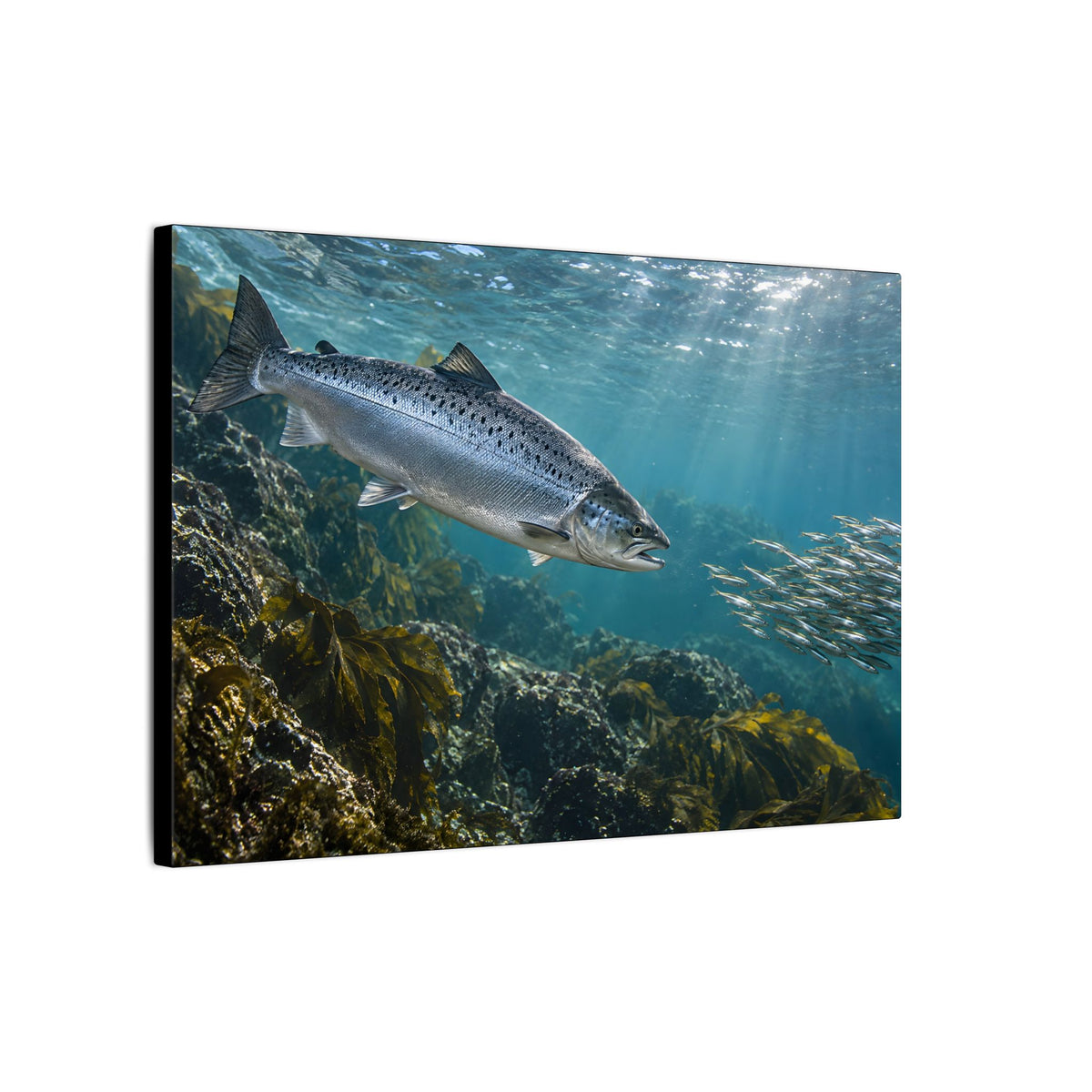 Emerald Pool Passage Salmon canvas wall art, view 4