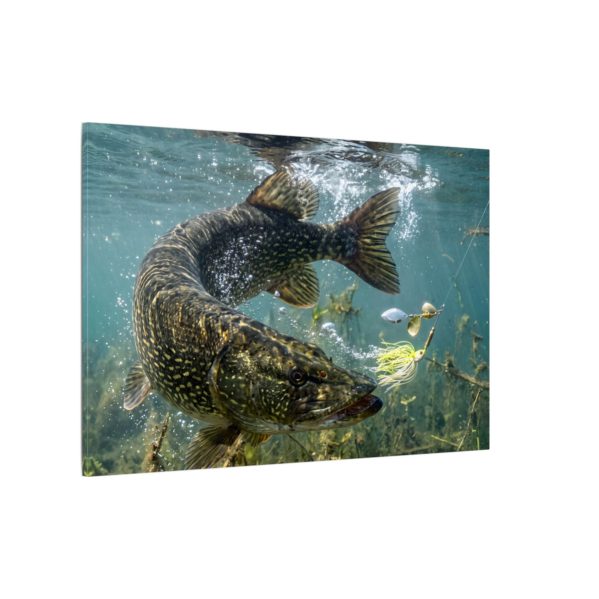Northern Pike Turning Strike Canvas — Action Wall Art for Anglers