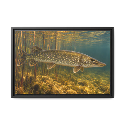 Amber Reed Sentinel Northern Pike framed canvas, 36x24 size view