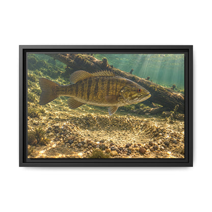 Spawning Bed Smallmouth Framed Canvas wall art, view 2
