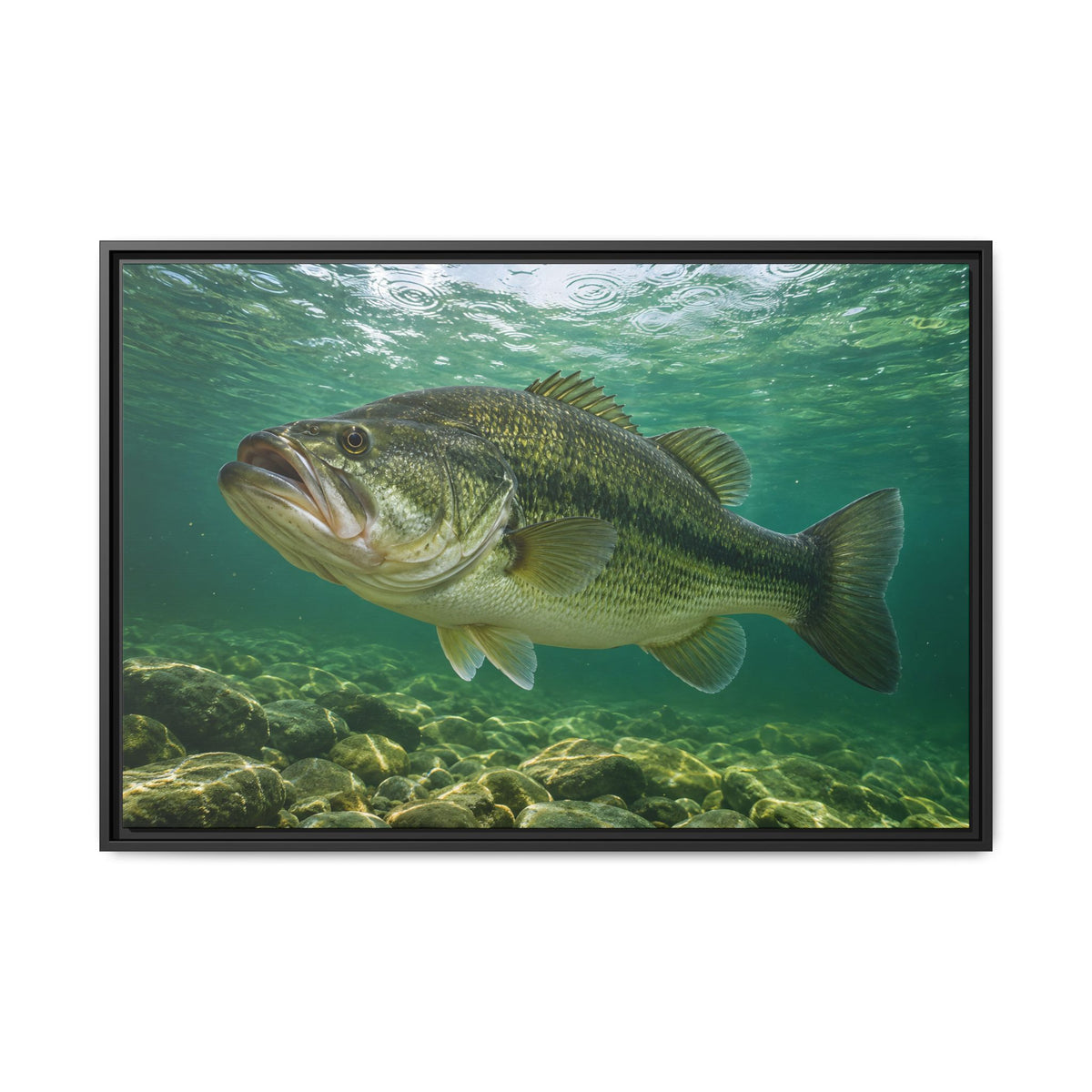 Emerald Rainlight Largemouth Bass framed canvas, 18x12 size view