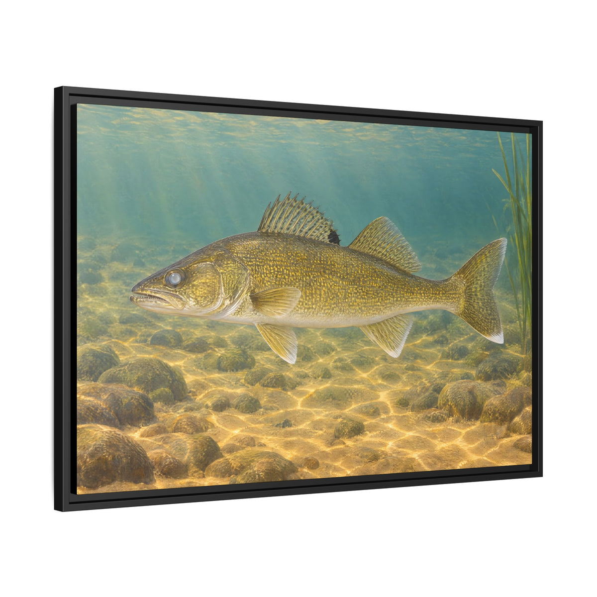Sand Flats Walleye framed canvas wall art, view 4