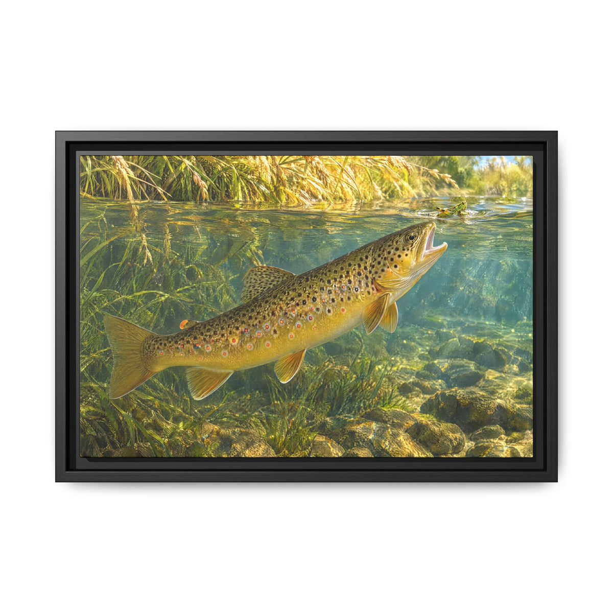 Hopper Season Brown Trout framed canvas, 24x16 size view