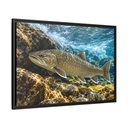 River Ambush Bull Trout framed canvas, side angle