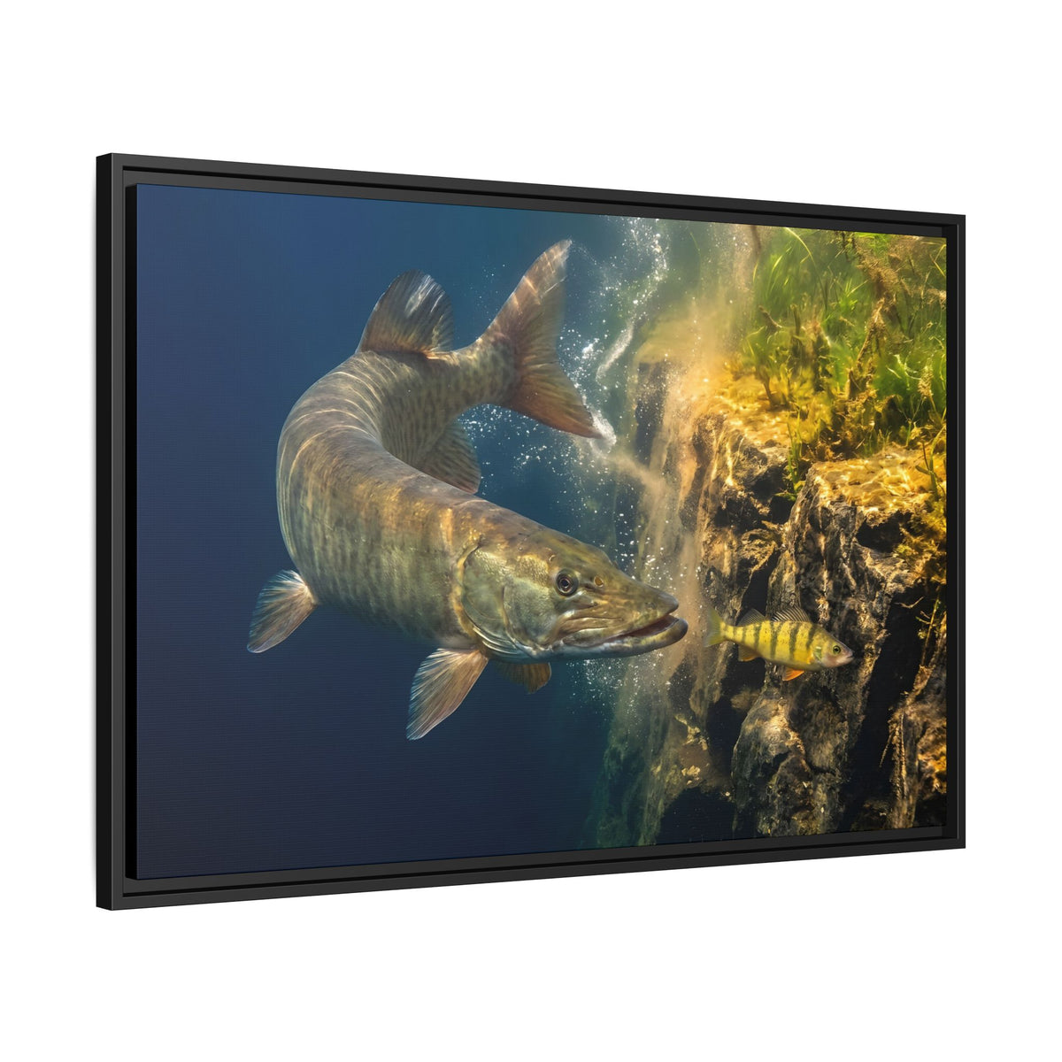 Muskie Drop-Off Chase framed canvas side angle