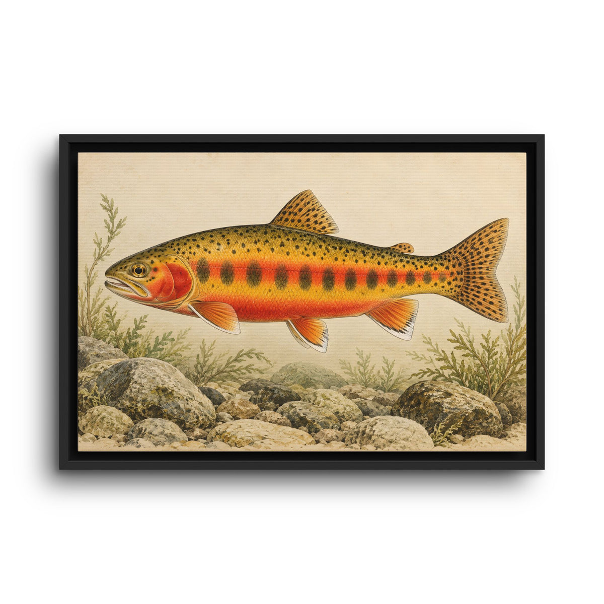 Vintage Stream Study Golden Trout framed canvas wall art, view 2