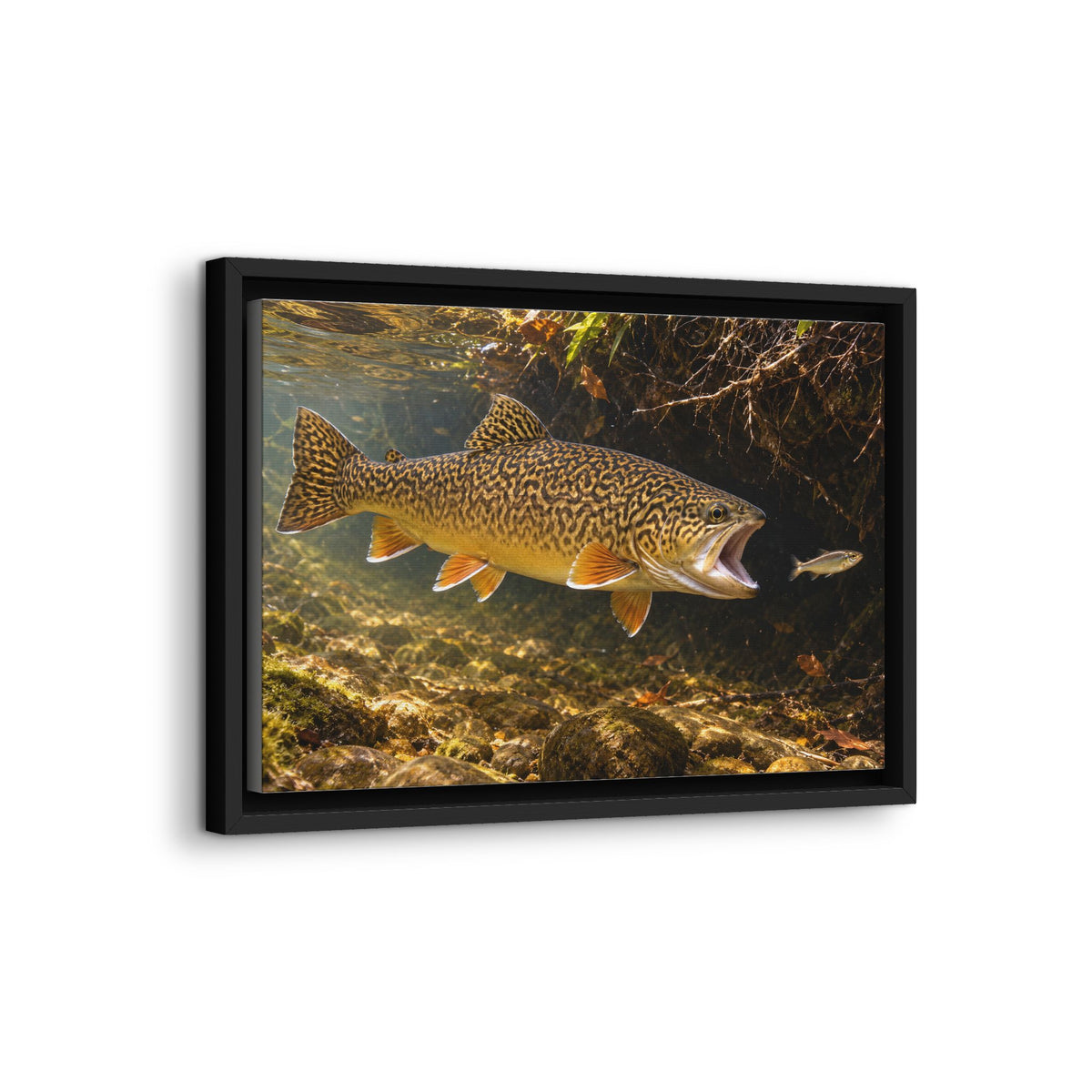 Grassy Bank Strike Tiger Trout framed canvas wall art, view 4