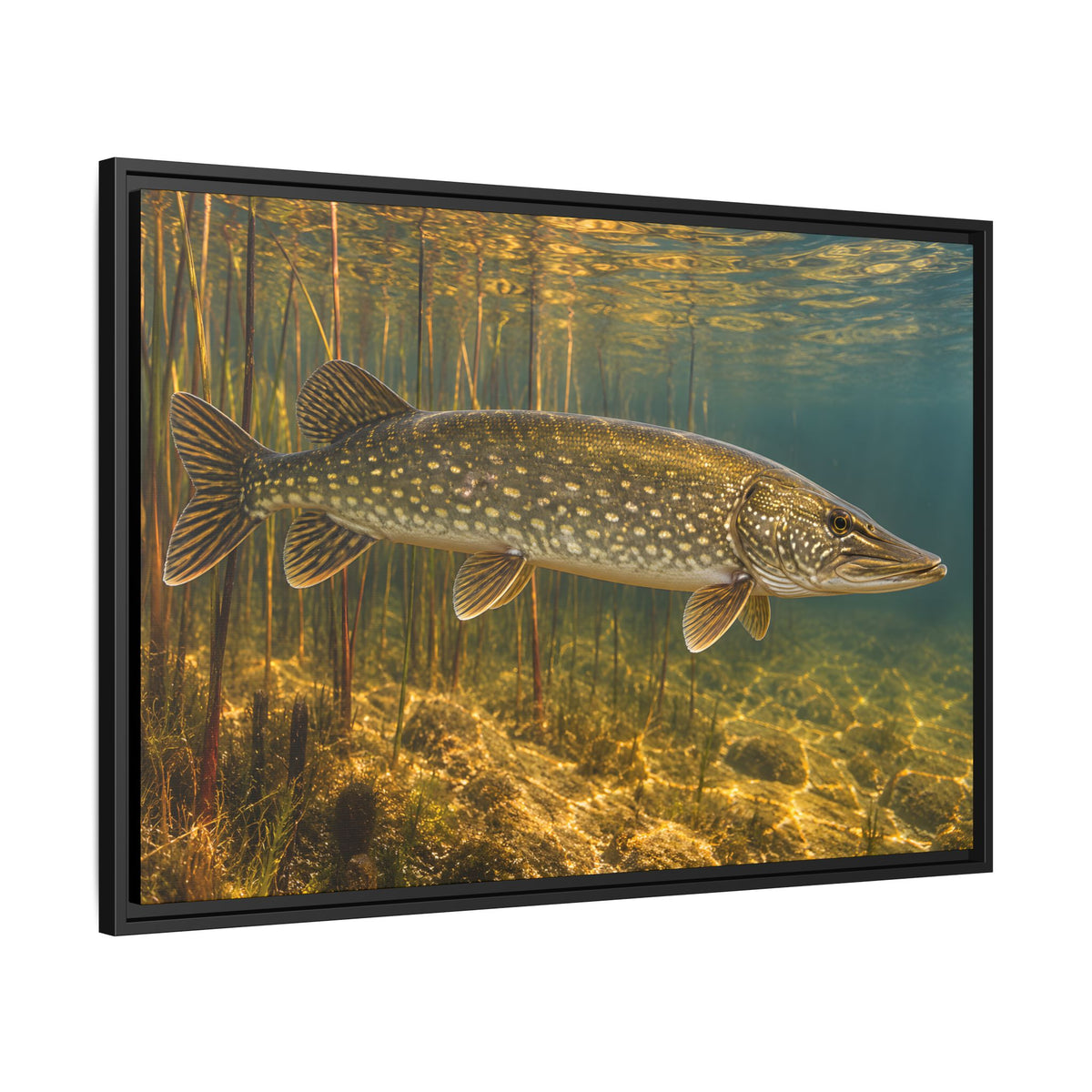 Amber Reed Sentinel Northern Pike framed canvas side angle