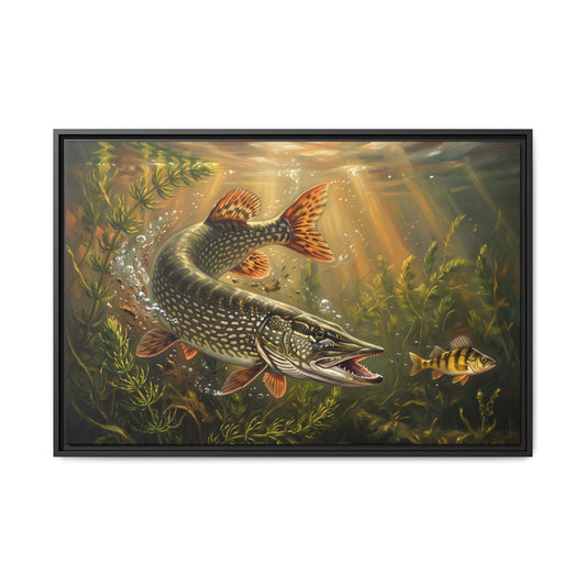 Perch Ambush Northern Pike framed canvas, 18x12 size view