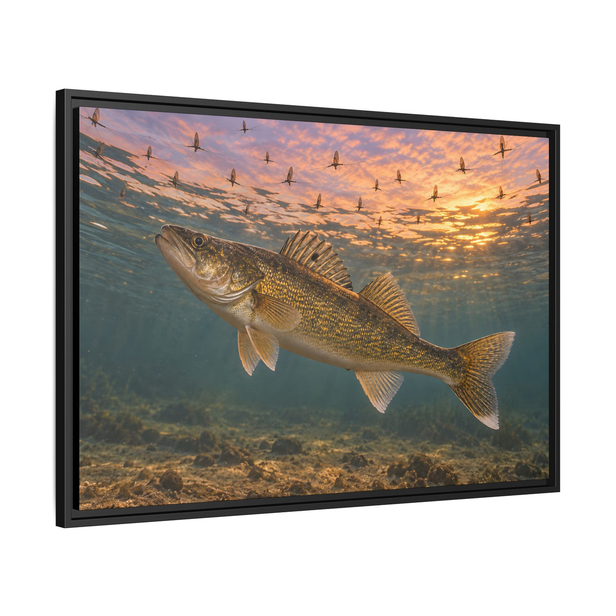 Mayfly Hatch Evening Walleye framed canvas side angle