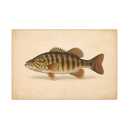 Smallmouth Bass Field Study Canvas wall art, view 2