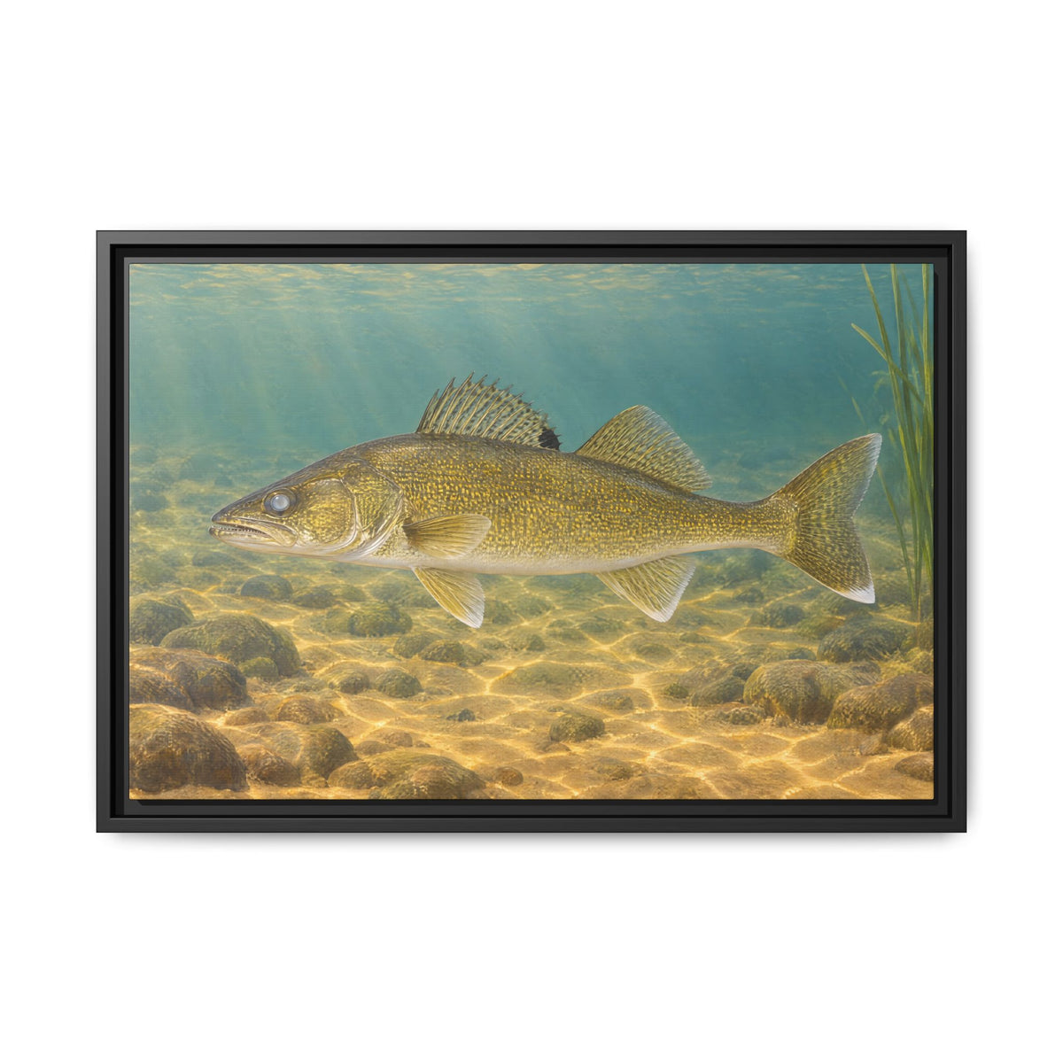 Sand Flats Walleye framed canvas wall art, view 3