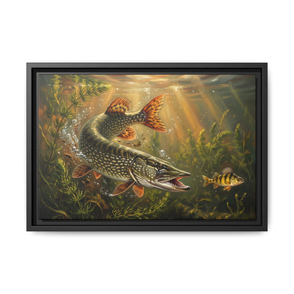Perch Ambush Northern Pike framed canvas, 24x16 size view