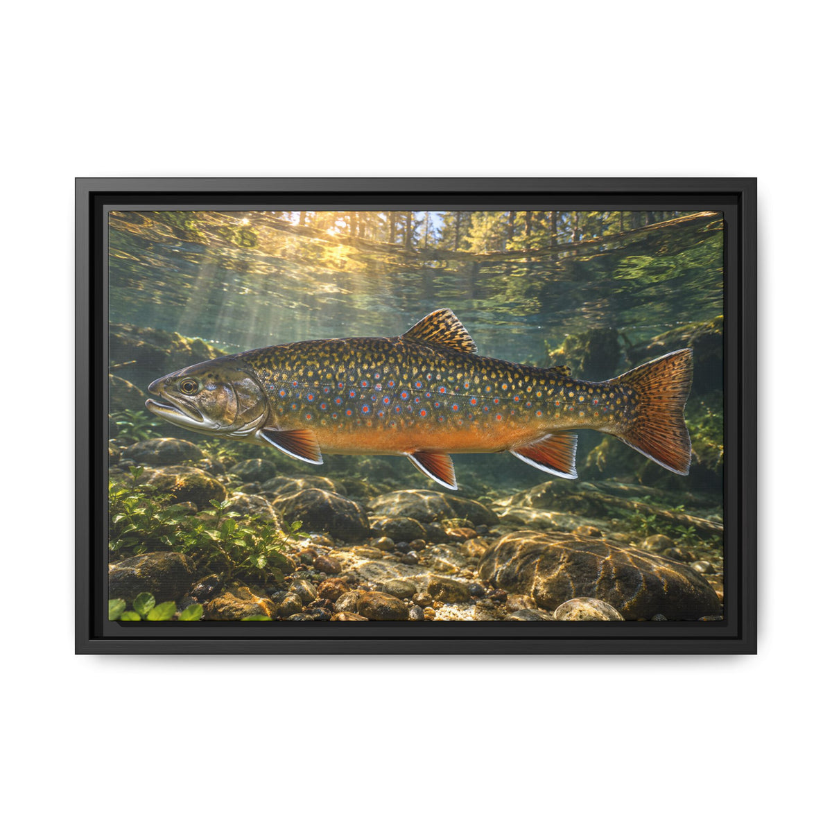 Northern Jewel Brook Trout framed canvas wall art, view 2