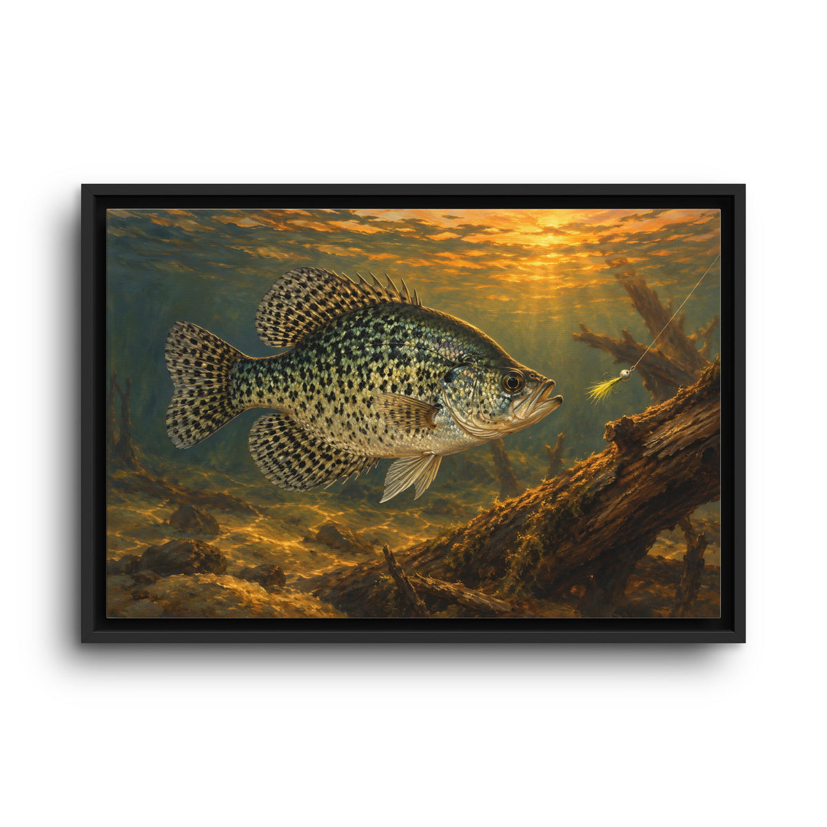 Papermouth at Dusk Crappie framed canvas wall art, view 2