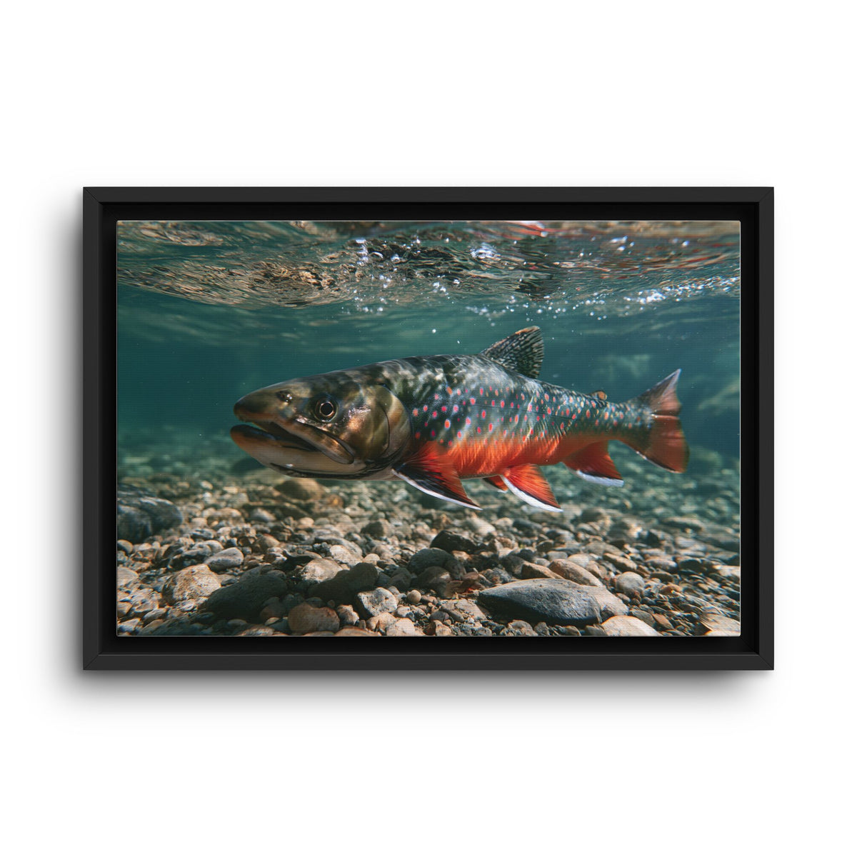 Clear Gravel Run Dolly Varden framed canvas wall art