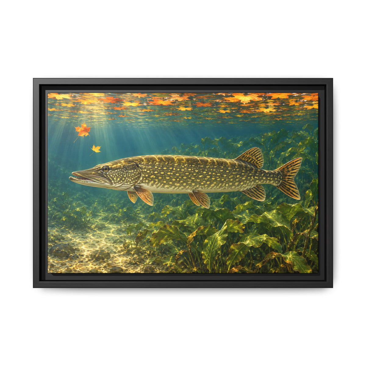 Autumn Cabbage Northern Pike framed canvas, 24x16 size view