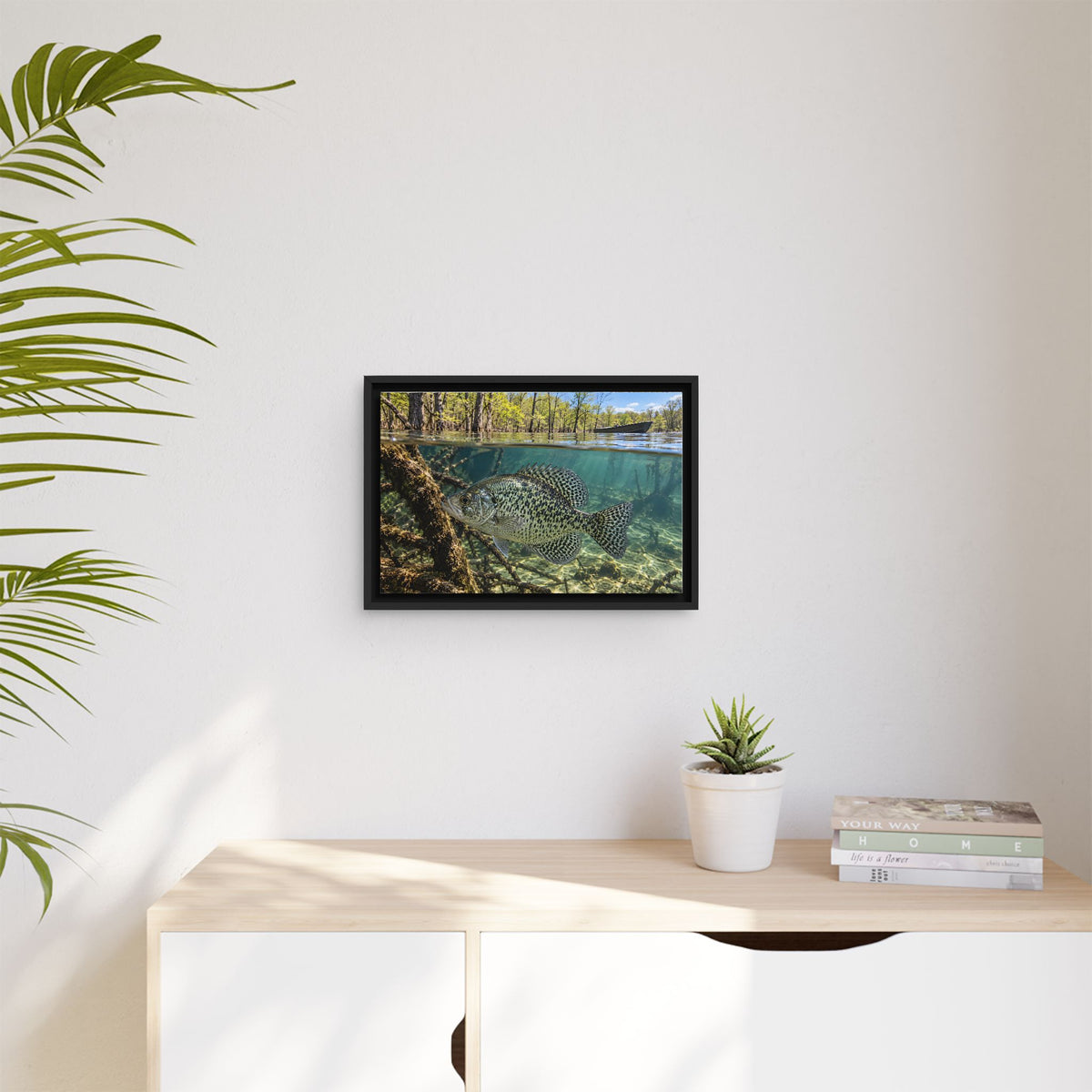 Spring Shoreline Crappie framed canvas wall art, view 5