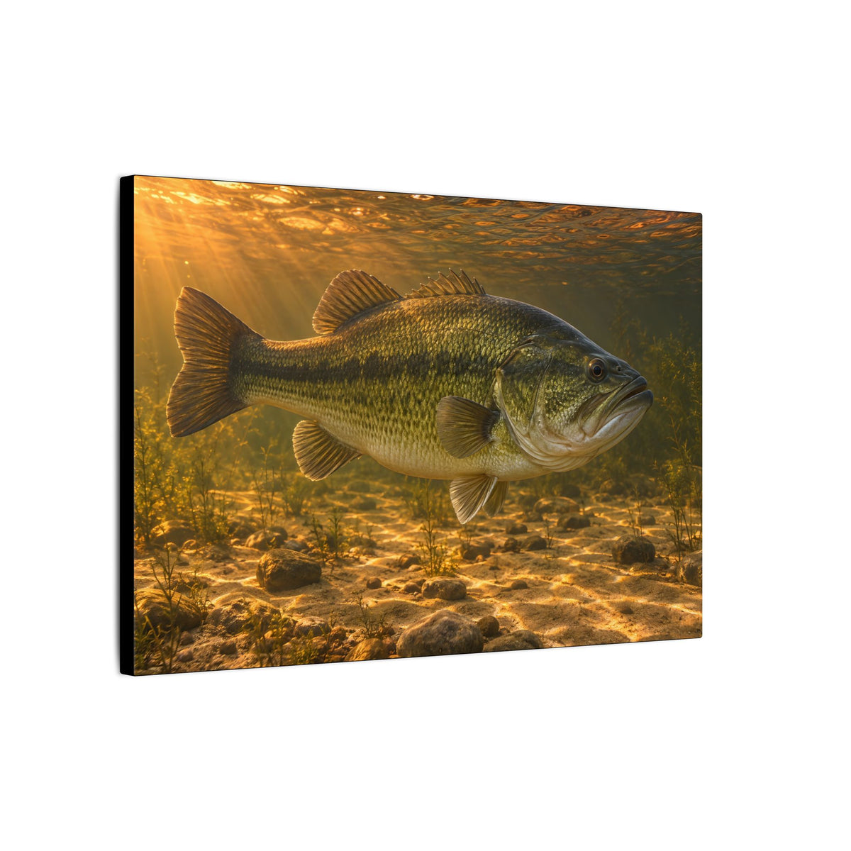 Copper Evening Flats Largemouth Bass canvas side angle