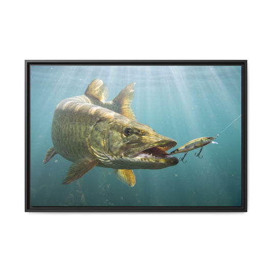 Chrome Jerkbait Strike Muskie framed canvas, 18x12 size view