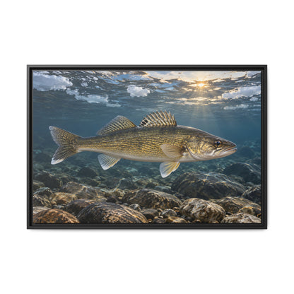 Ice-Out Spawning Run Walleye framed canvas, 18x12 size view