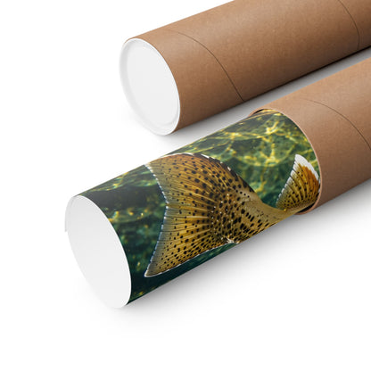 Rising to the Hopper Cutthroat Trout poster shipped rolled in a protective tube