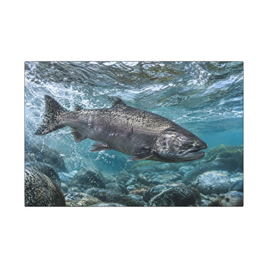 Leap of the King Chinook Salmon canvas wall art