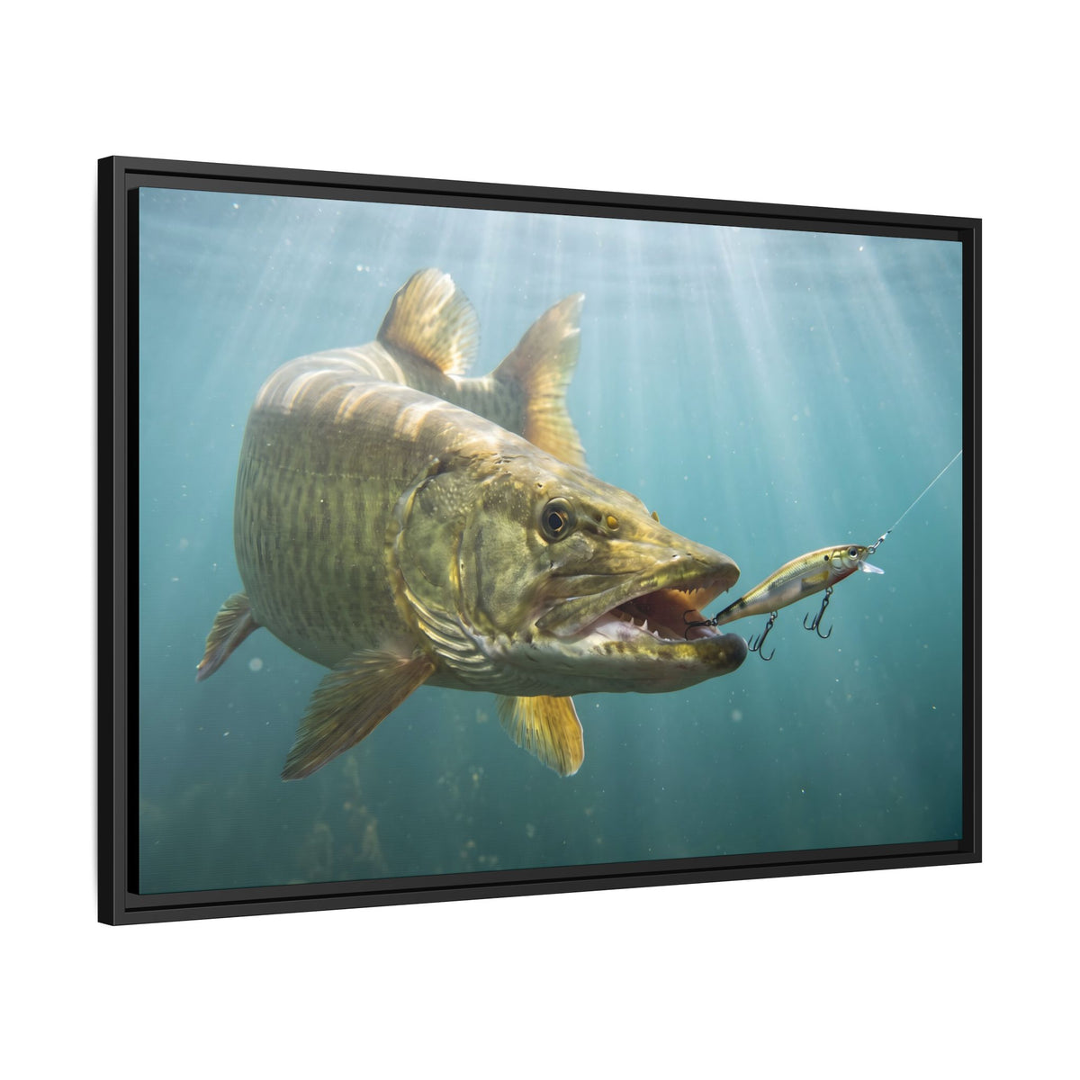 Chrome Jerkbait Strike Muskie framed canvas side angle