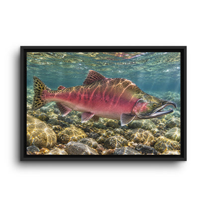 Humpback Run Pink Salmon framed canvas wall art, view 2