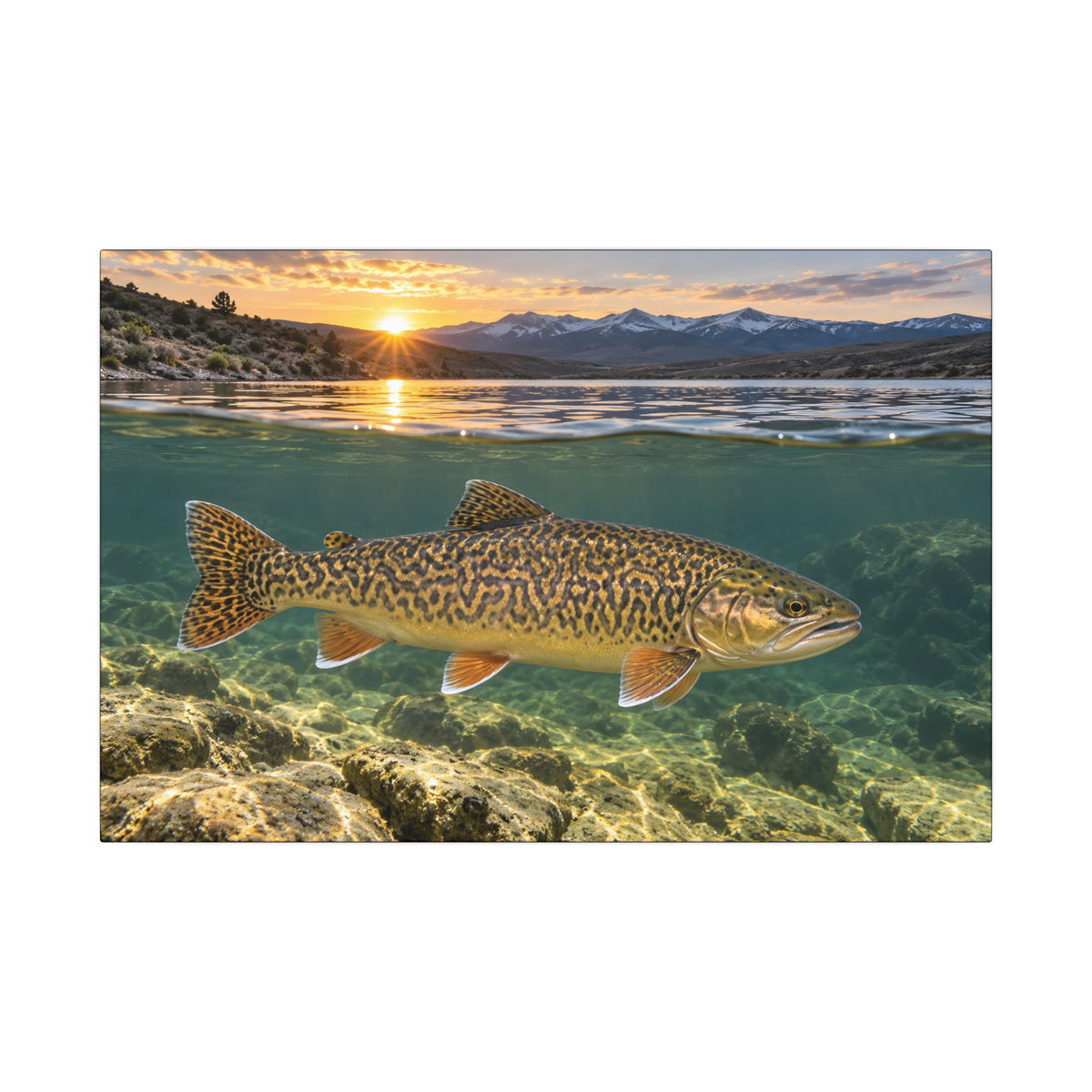 High Desert Sunrise Tiger Trout canvas wall art, view 2